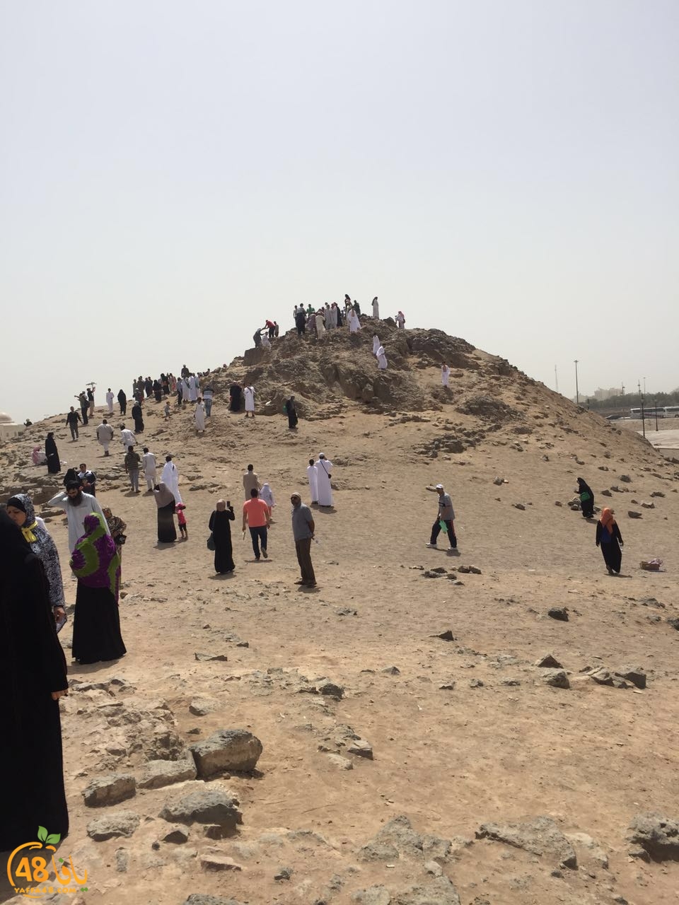 Mo3tmren ramla ldu (3).jpg